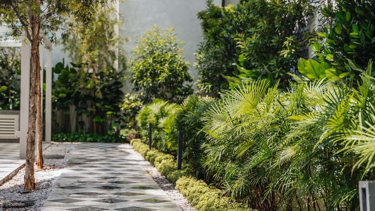 Photo of Outdoor in Maluri