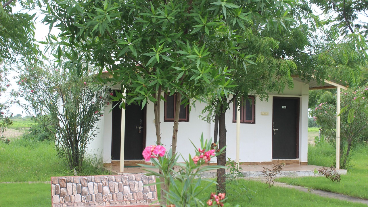 Photo of Bedroom in Dasada