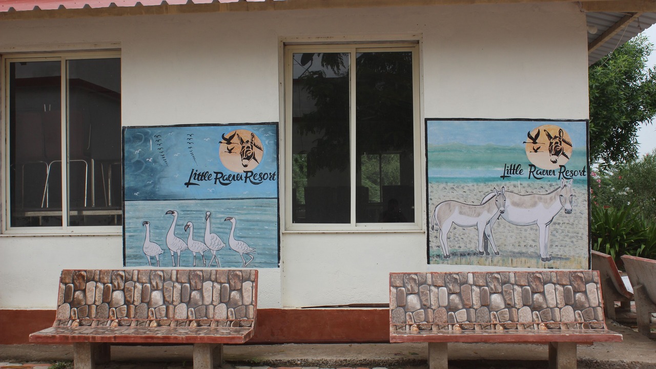 Photo of Outdoor in Dasada