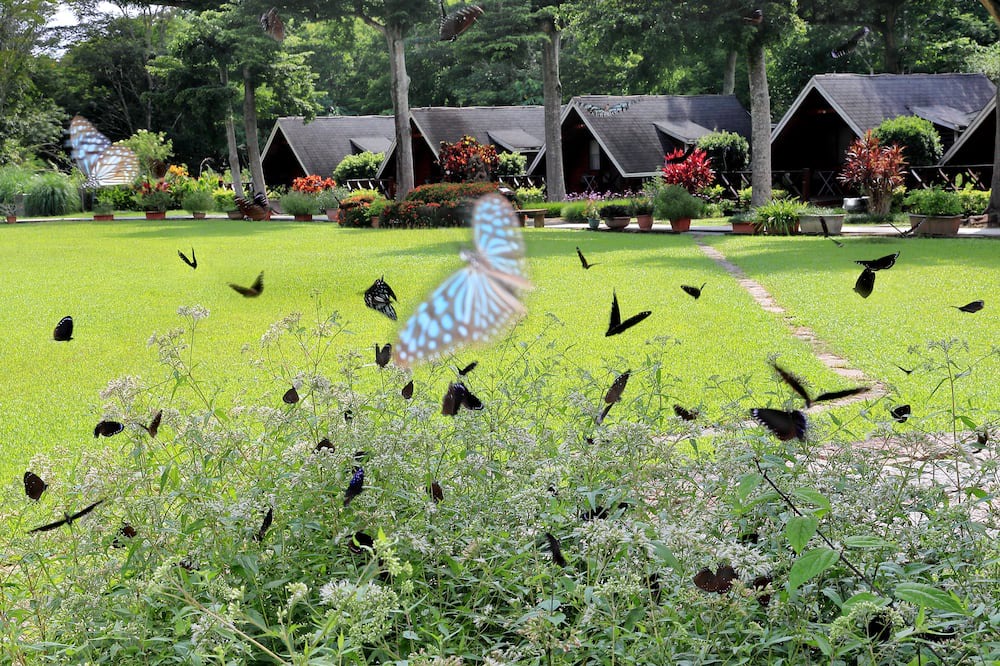 Photo of Outdoor in Dapu