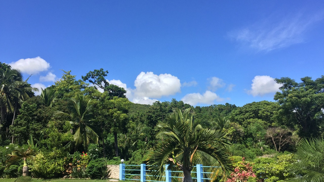 Photo of Outdoor in Catmon