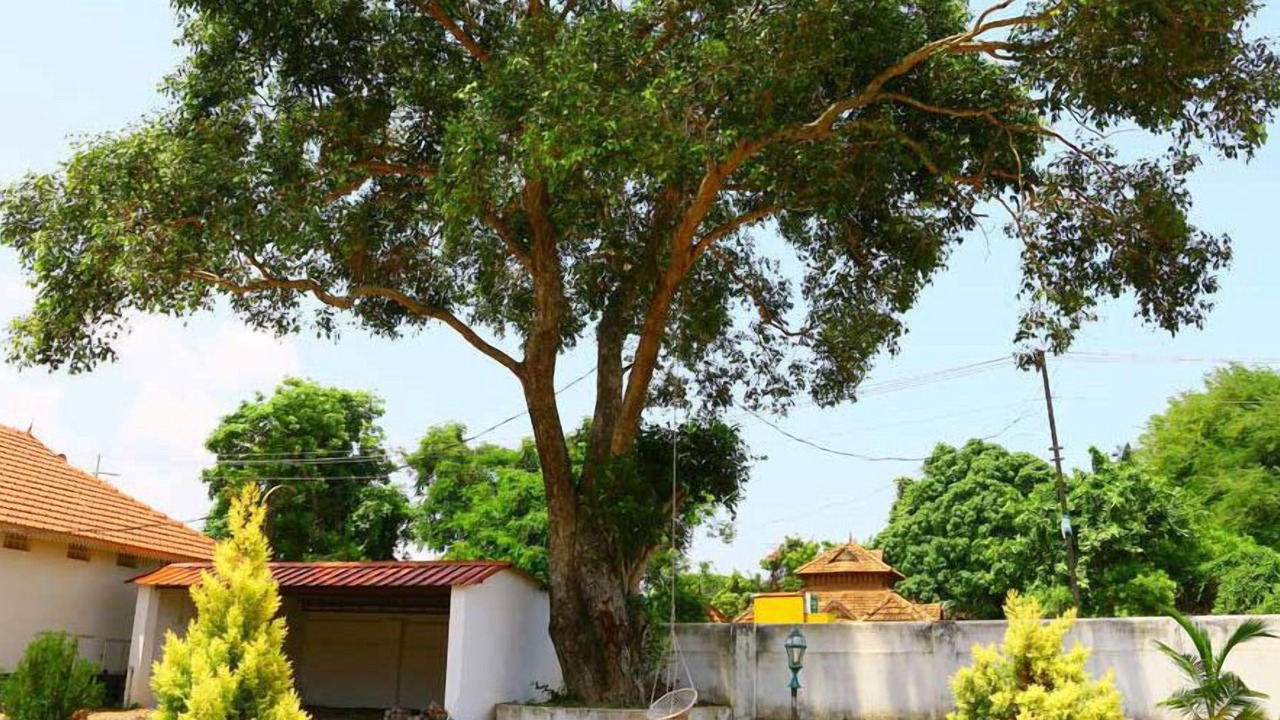 Photo of Outdoor in Sea View Ward