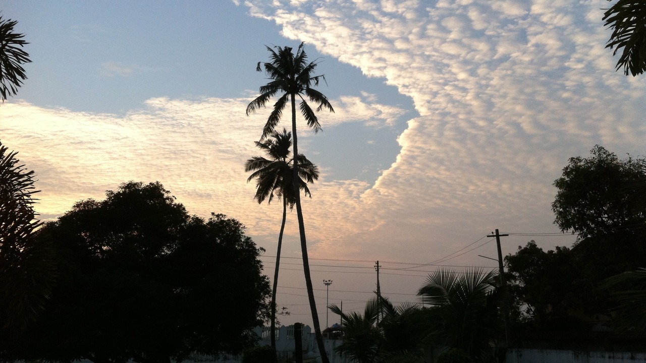 Photo of Outdoor in Sea View Ward