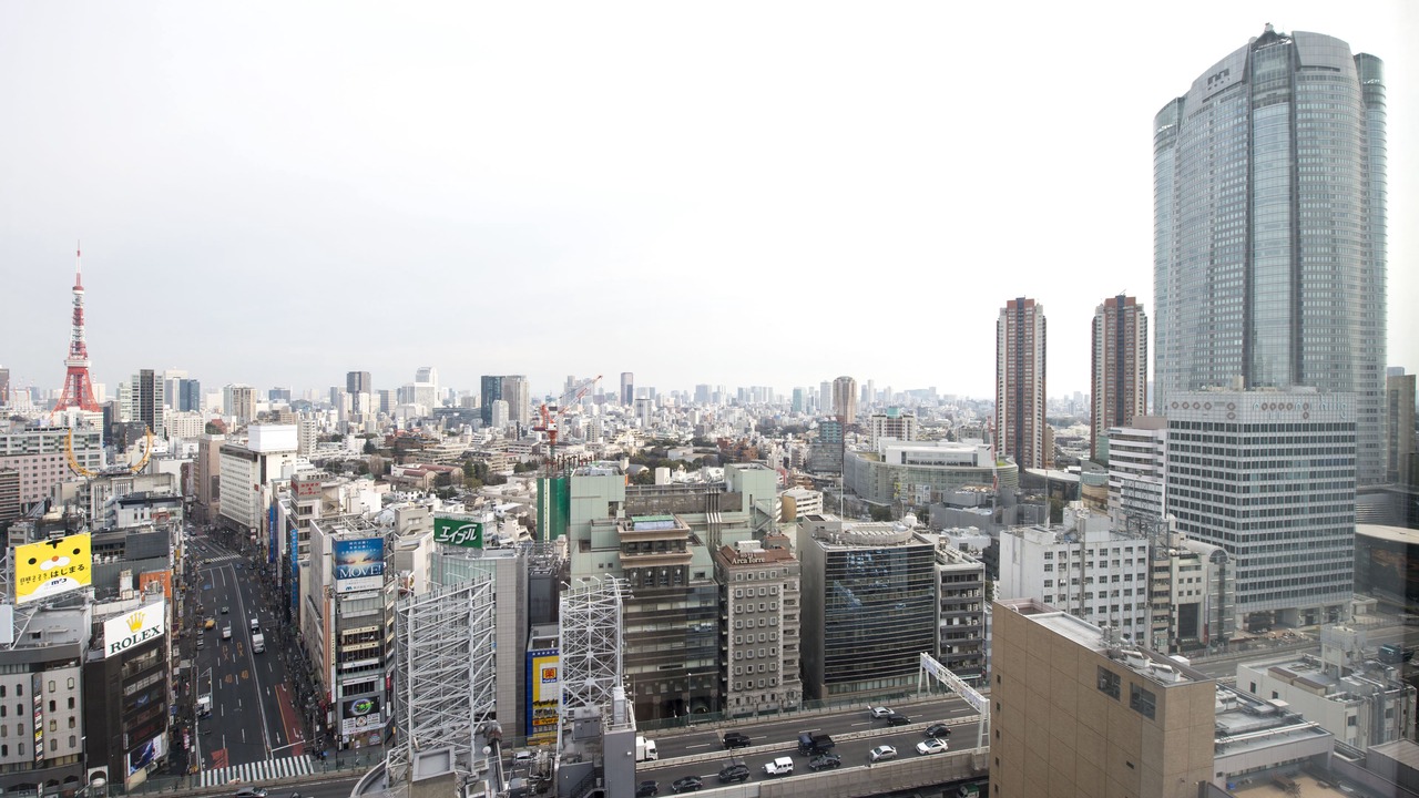 Photo of Bedroom in Roppongi