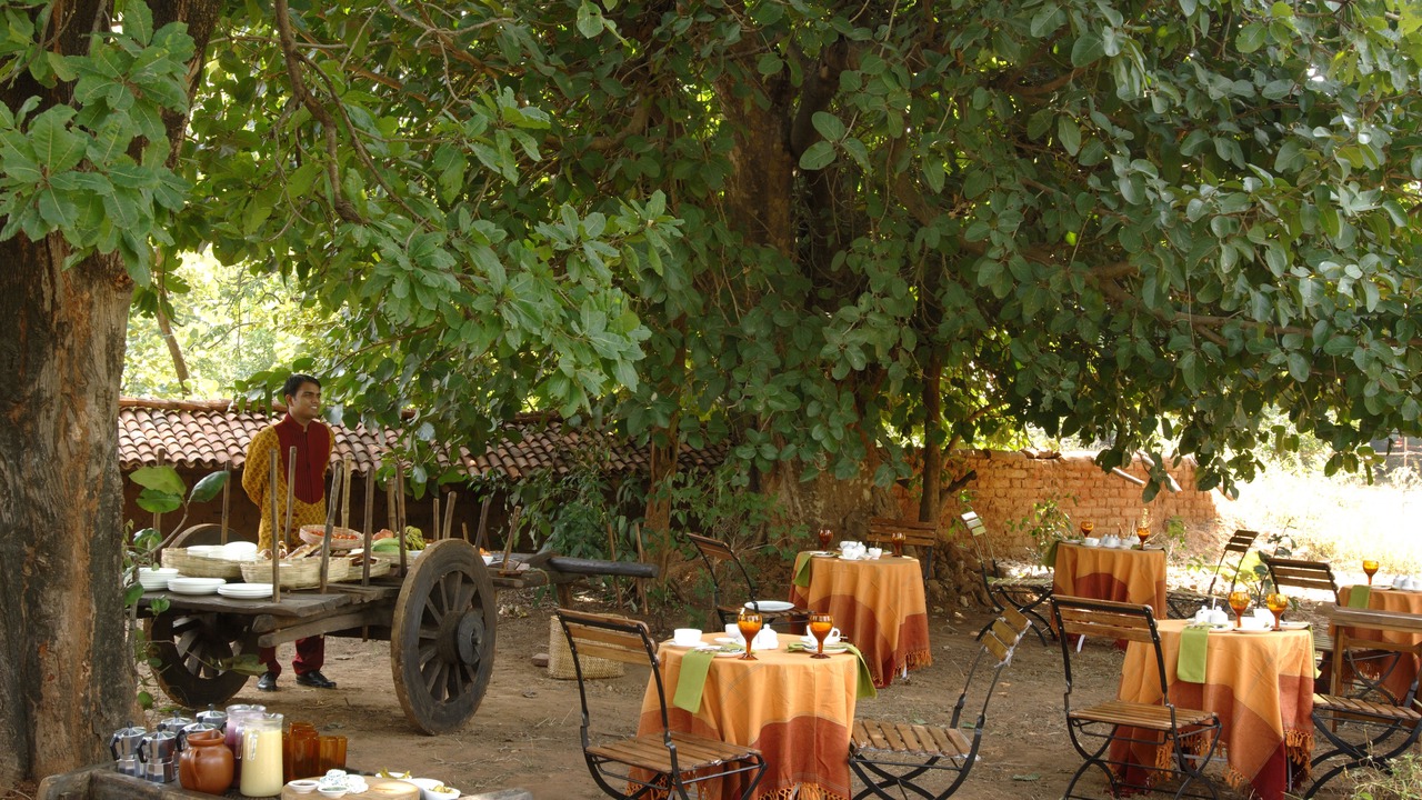 Photo of Outdoor in Tala