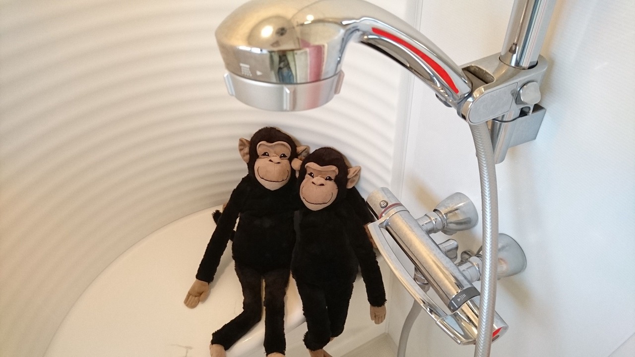 Photo of Bathroom in Sakyo Ward
