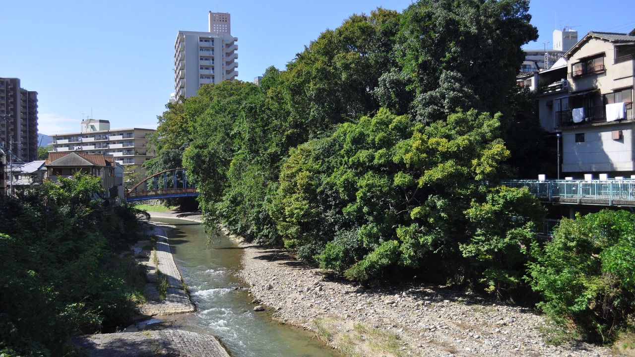 Photo of Others in Kawachinagano