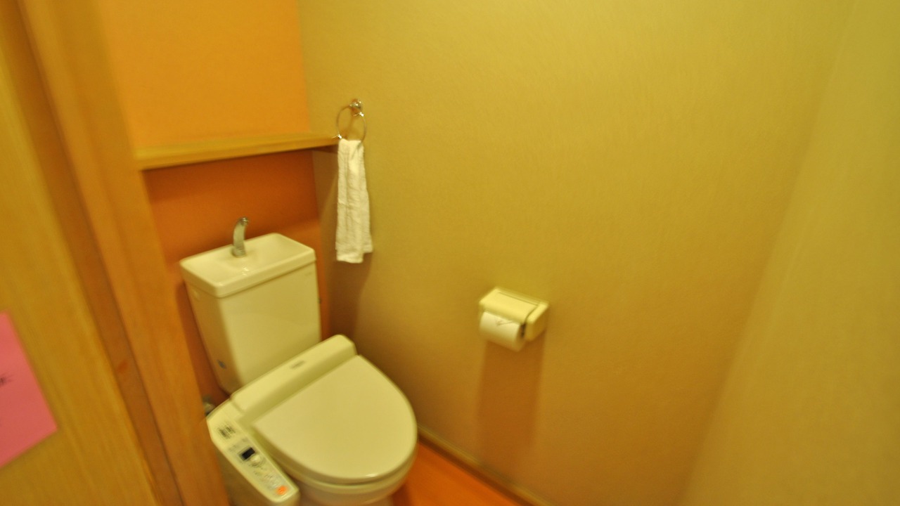 Photo of Bathroom in Kawachinagano