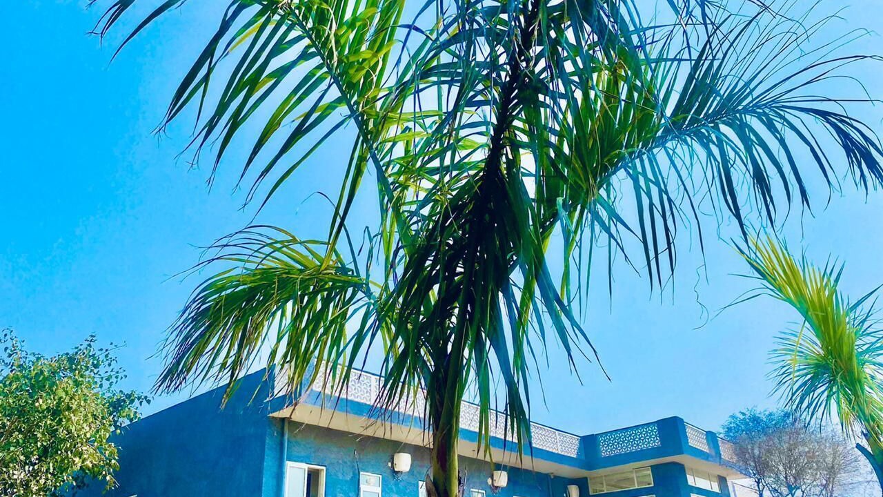 Photo of Outdoor in Gurugram