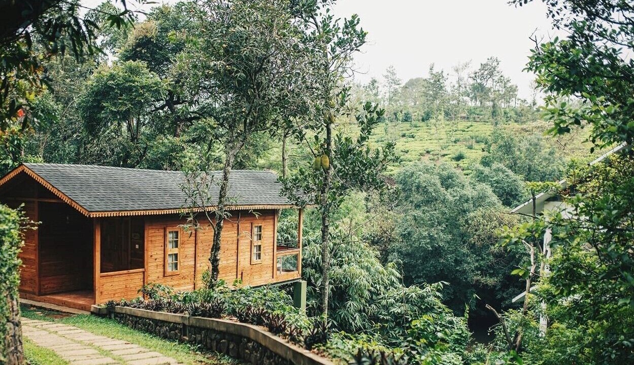 Photo of Outdoor in Kuttikkanam