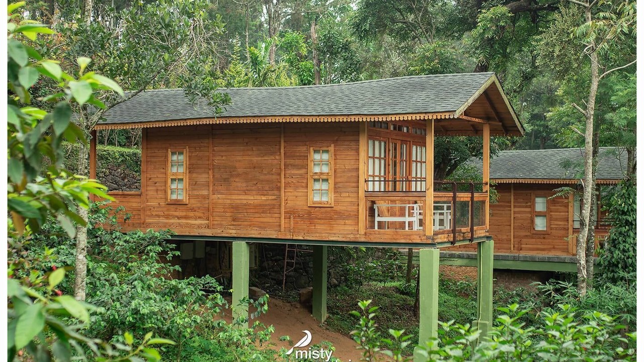 Photo of Outdoor in Kuttikkanam