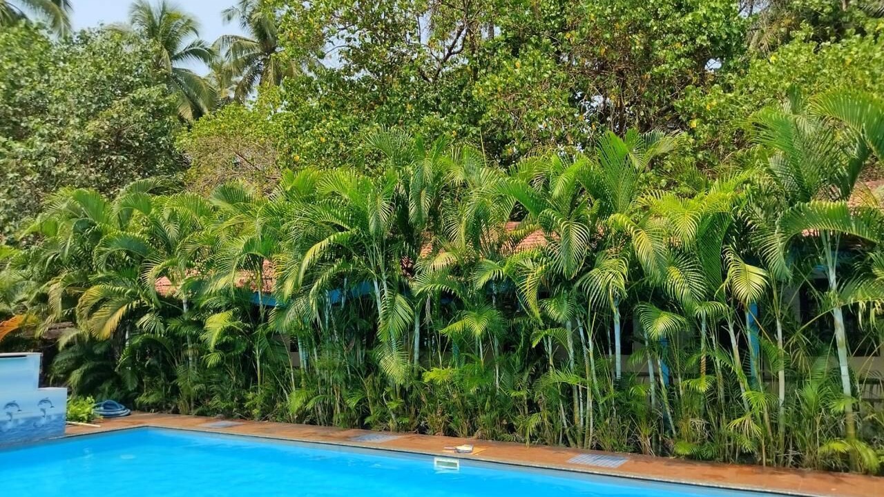 Photo of Outdoor in Arambol
