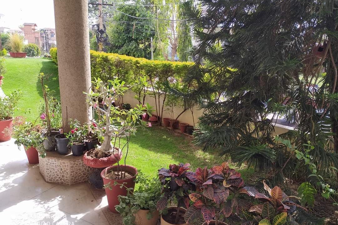 Photo of Outdoor in Jaipur