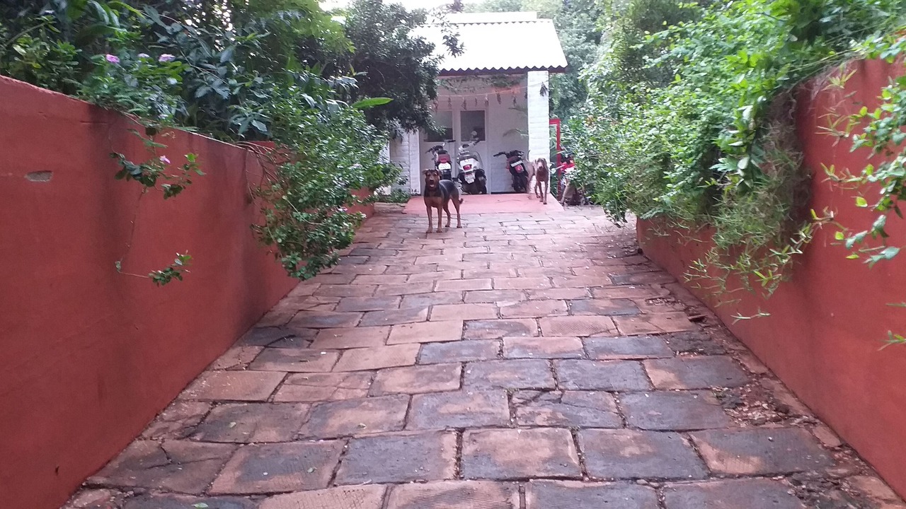 Photo of Outdoor in Kuilapalayam