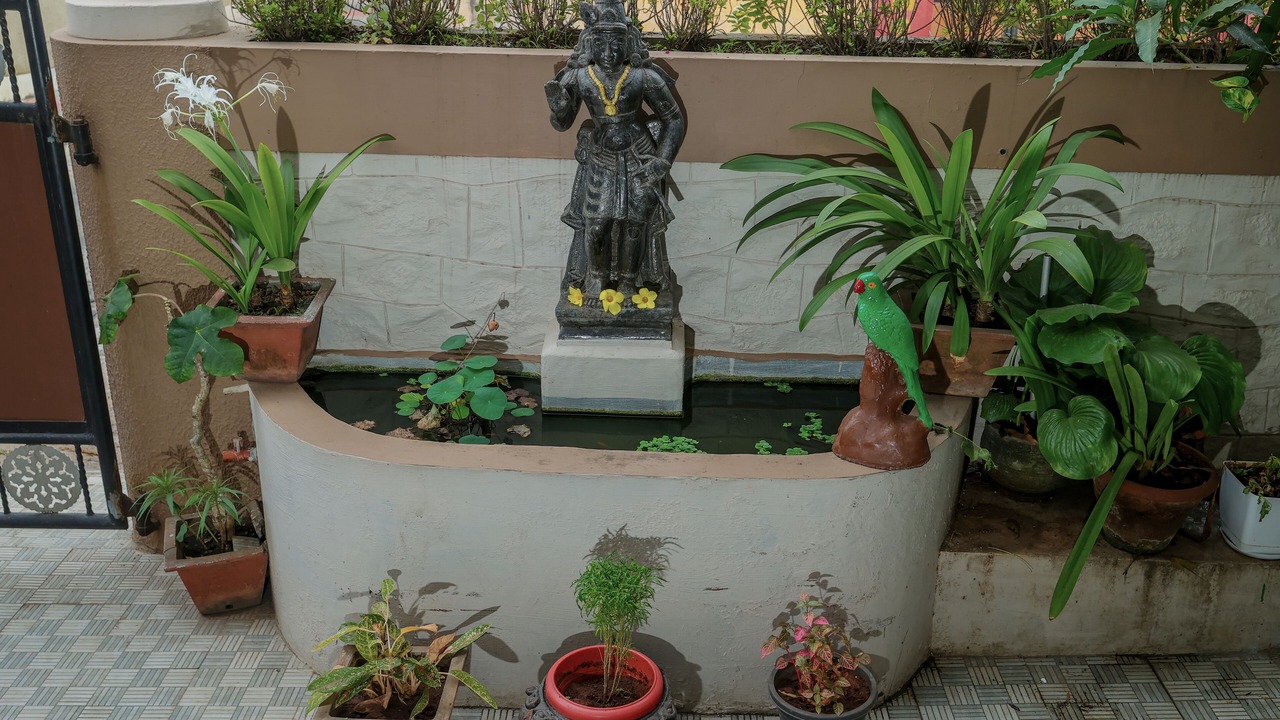 Photo of Outdoor in Thiruvananthapuram