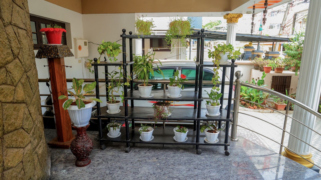 Photo of Outdoor in Thiruvananthapuram