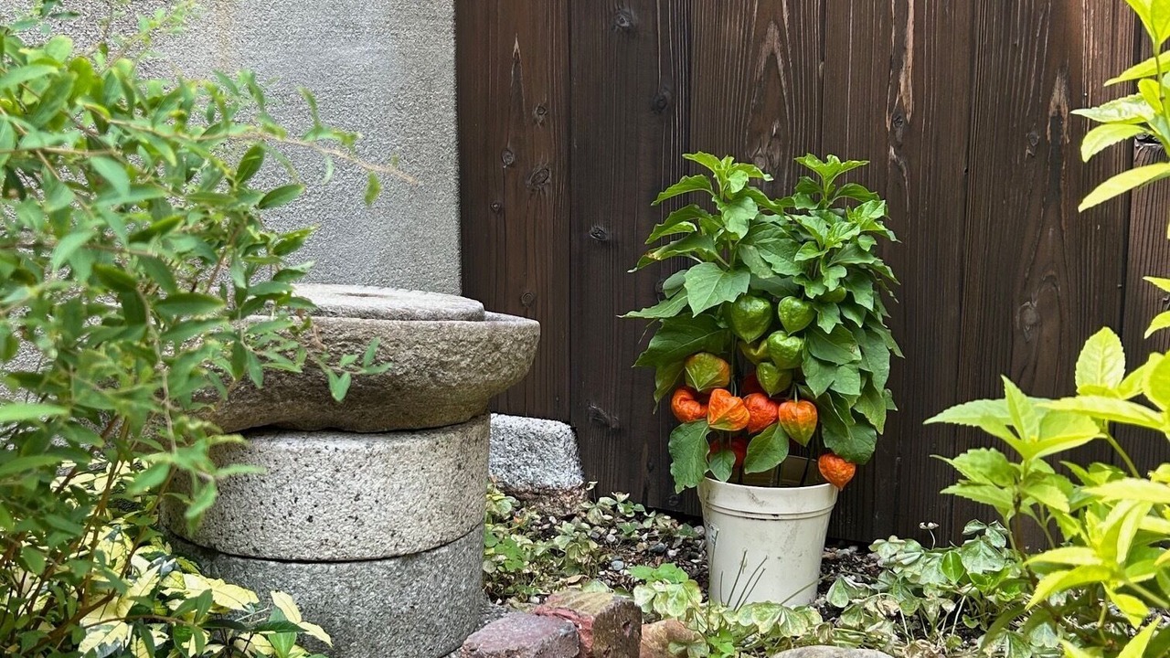 Photo of Outdoor in Nishijin
