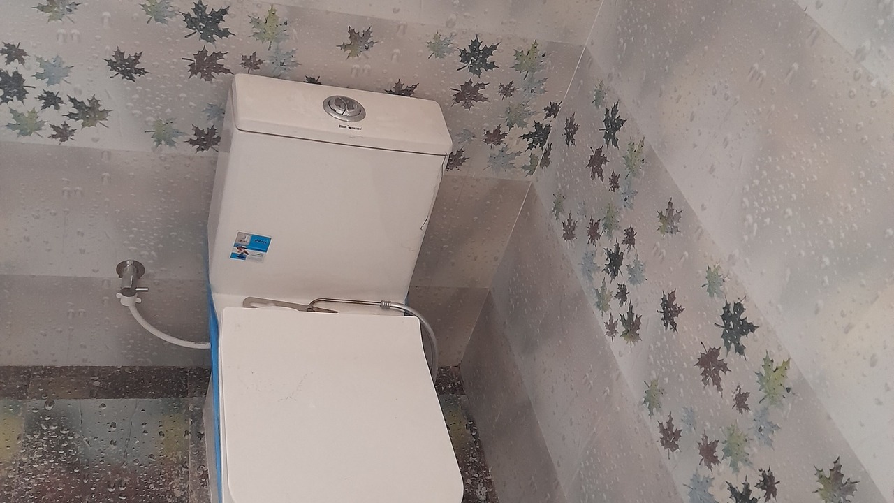 Photo of Bathroom in Rajawas