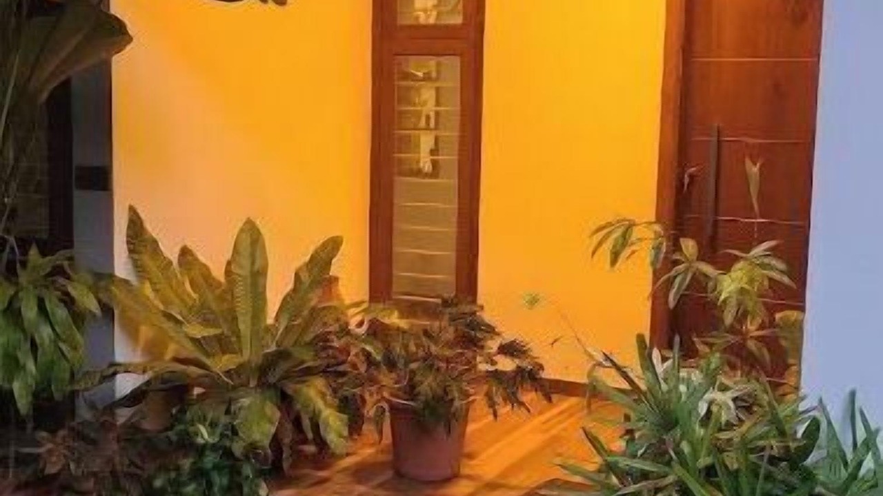 Photo of Outdoor in Varkala