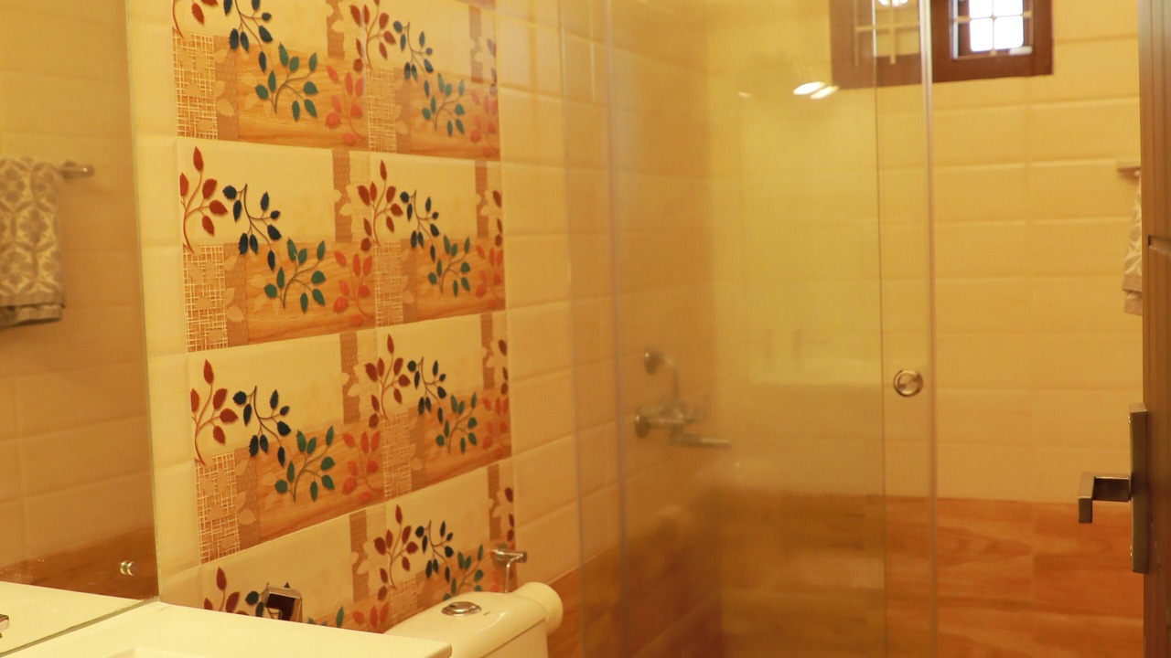 Photo of Bathroom in Aranmula