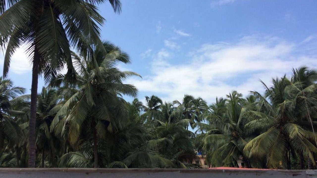 Photo of Outdoor in Mandrem