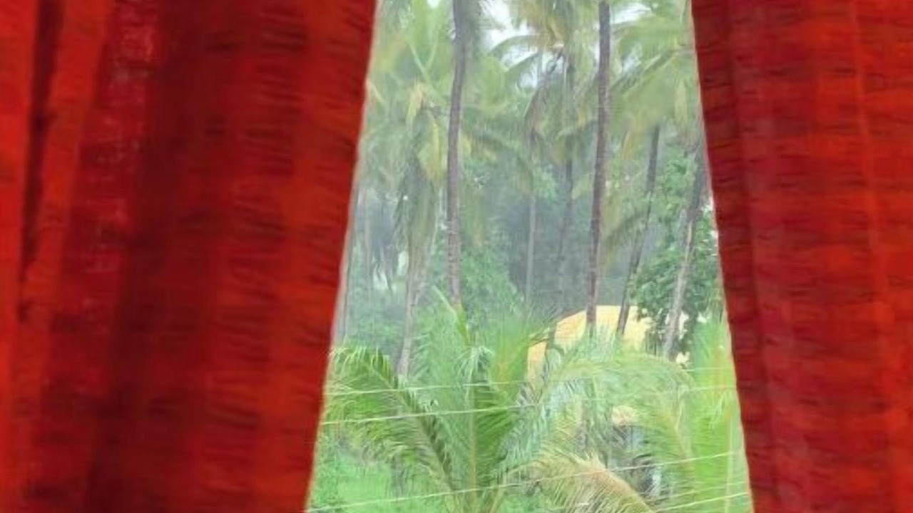 Photo of Others in Cansaulim