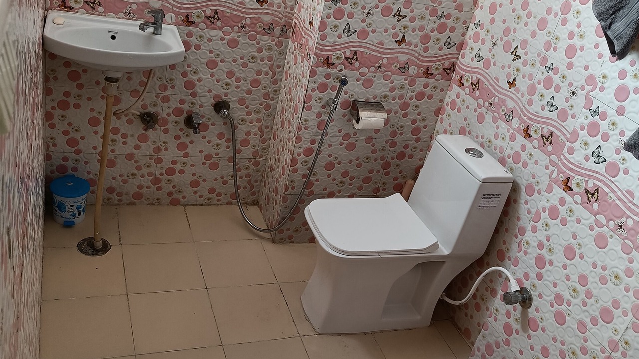 Photo of Bathroom in Sanganer