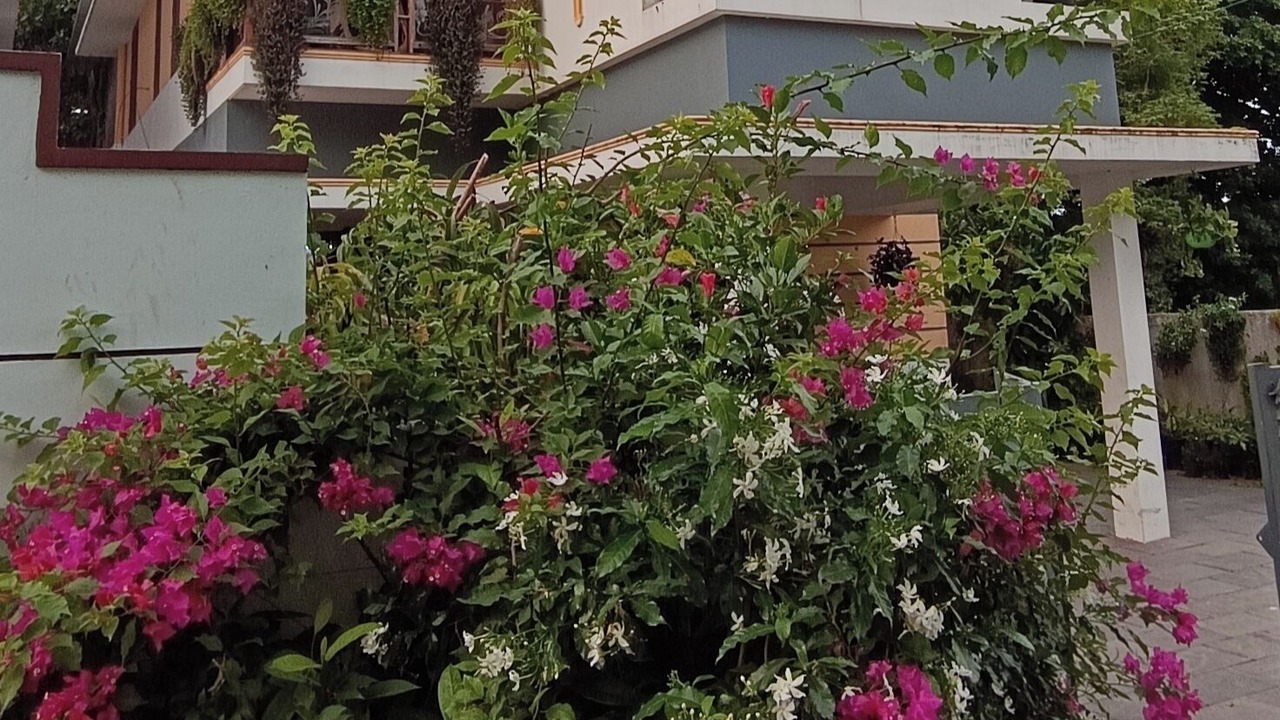 Photo of Outdoor in Thiruvananthapuram