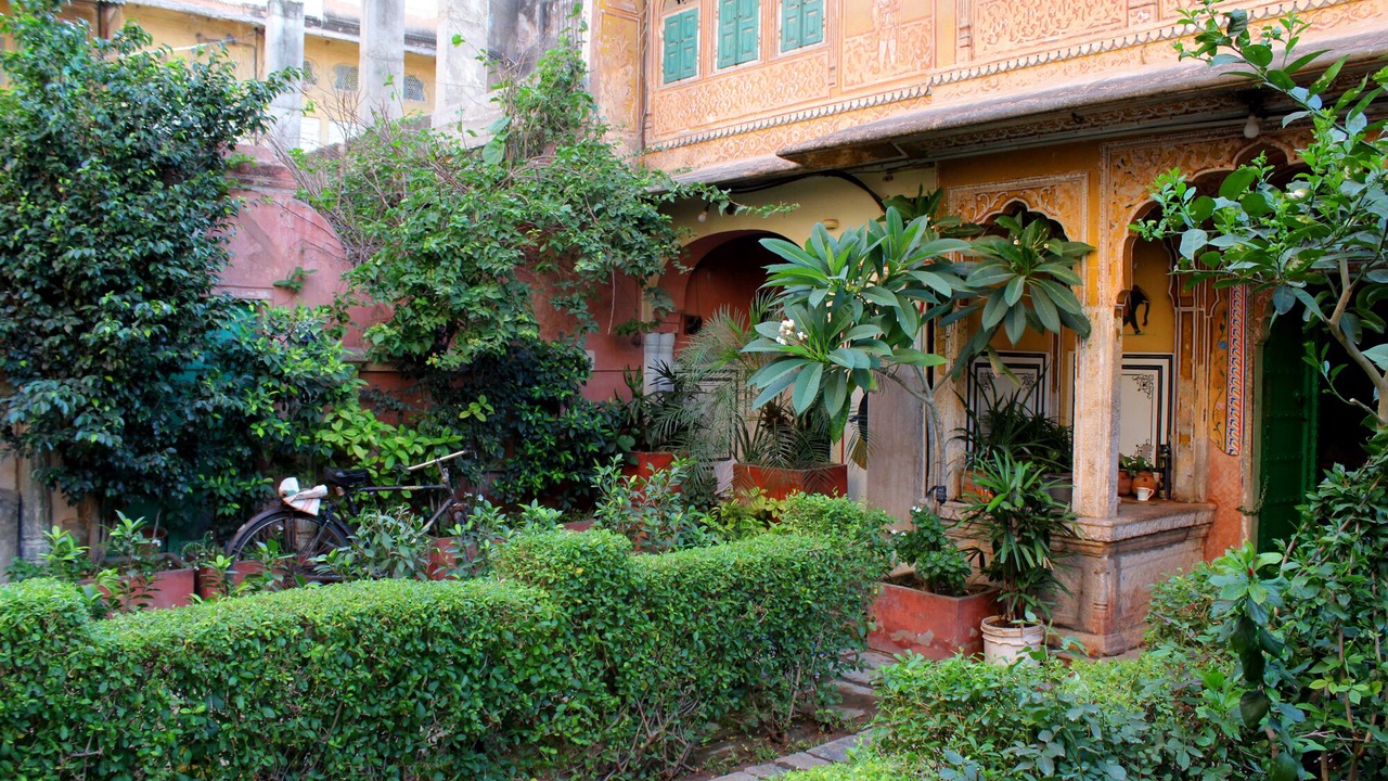 Photo of Outdoor in Pink City