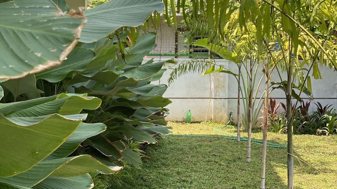 Photo of Outdoor in Kannur