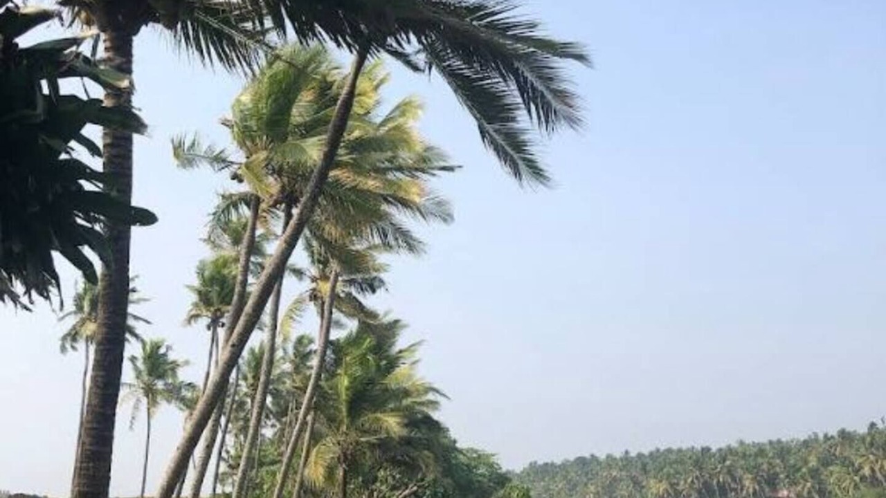 Photo of Outdoor in Venganoor