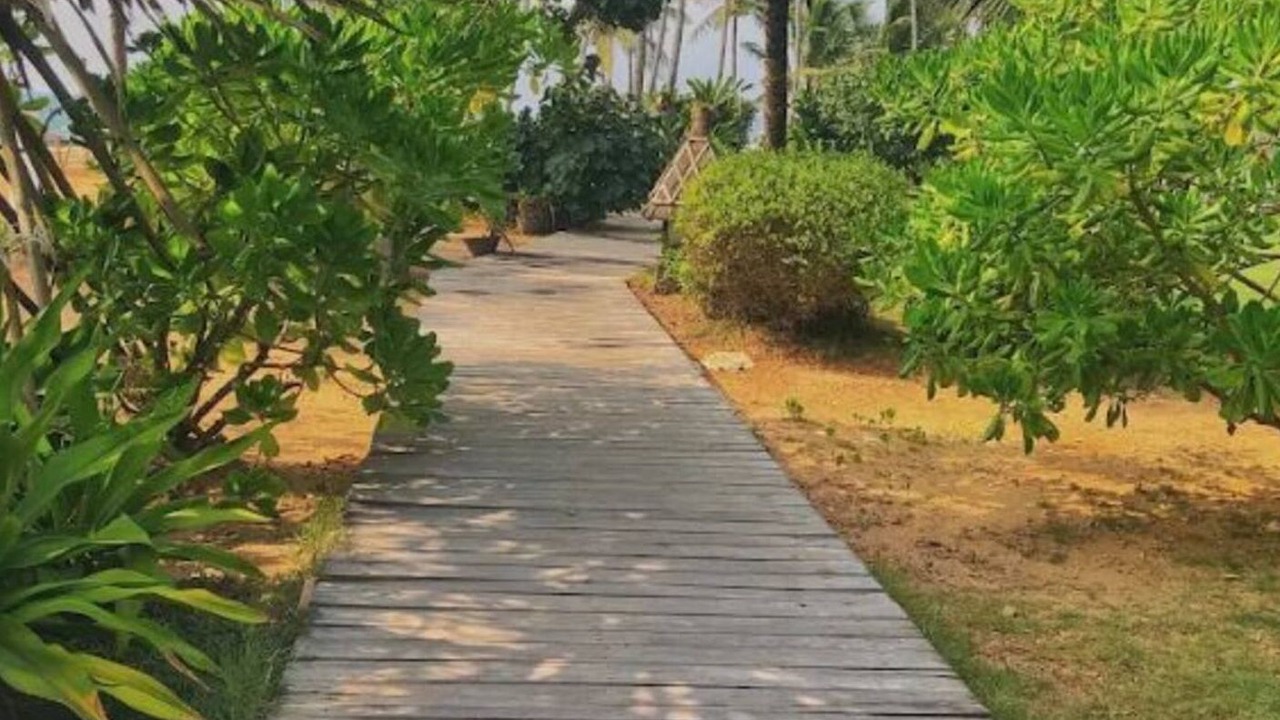Photo of Outdoor in Venganoor