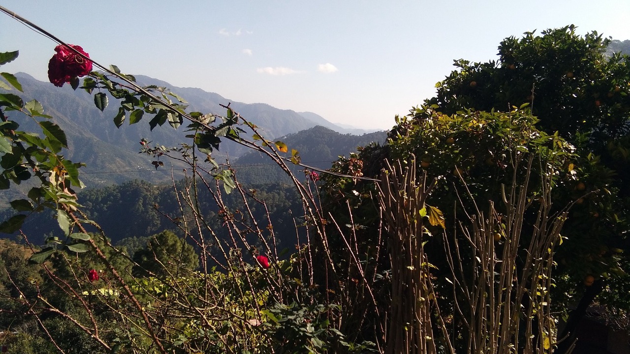 Photo of Outdoor in Jaiharikhal