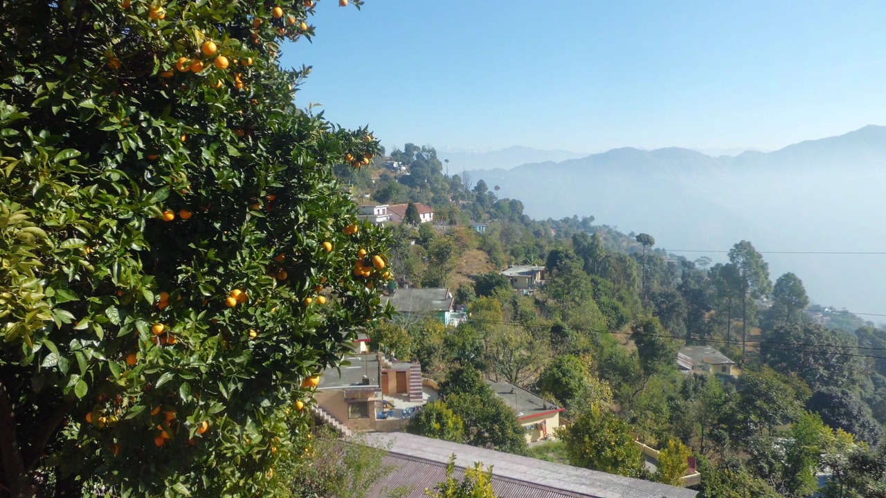 Photo of Others in Jaiharikhal