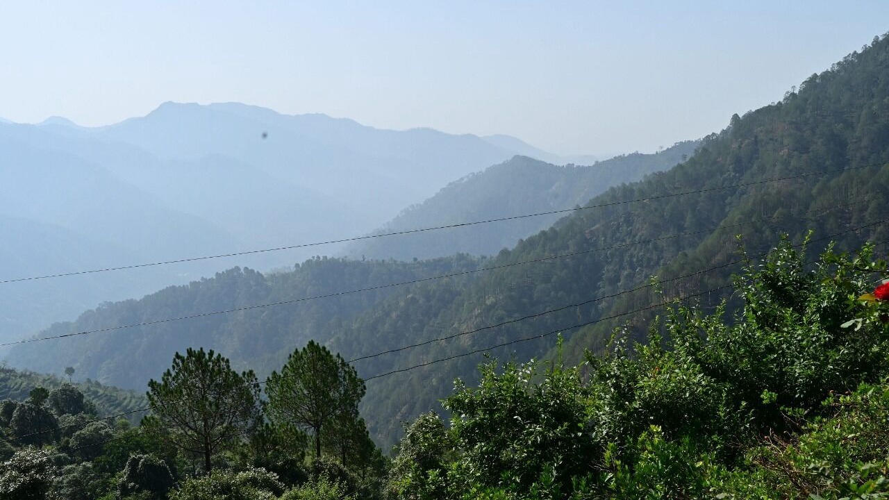 Photo of Others in Jaiharikhal