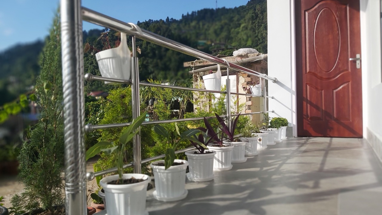 Photo of Outdoor in Kumai