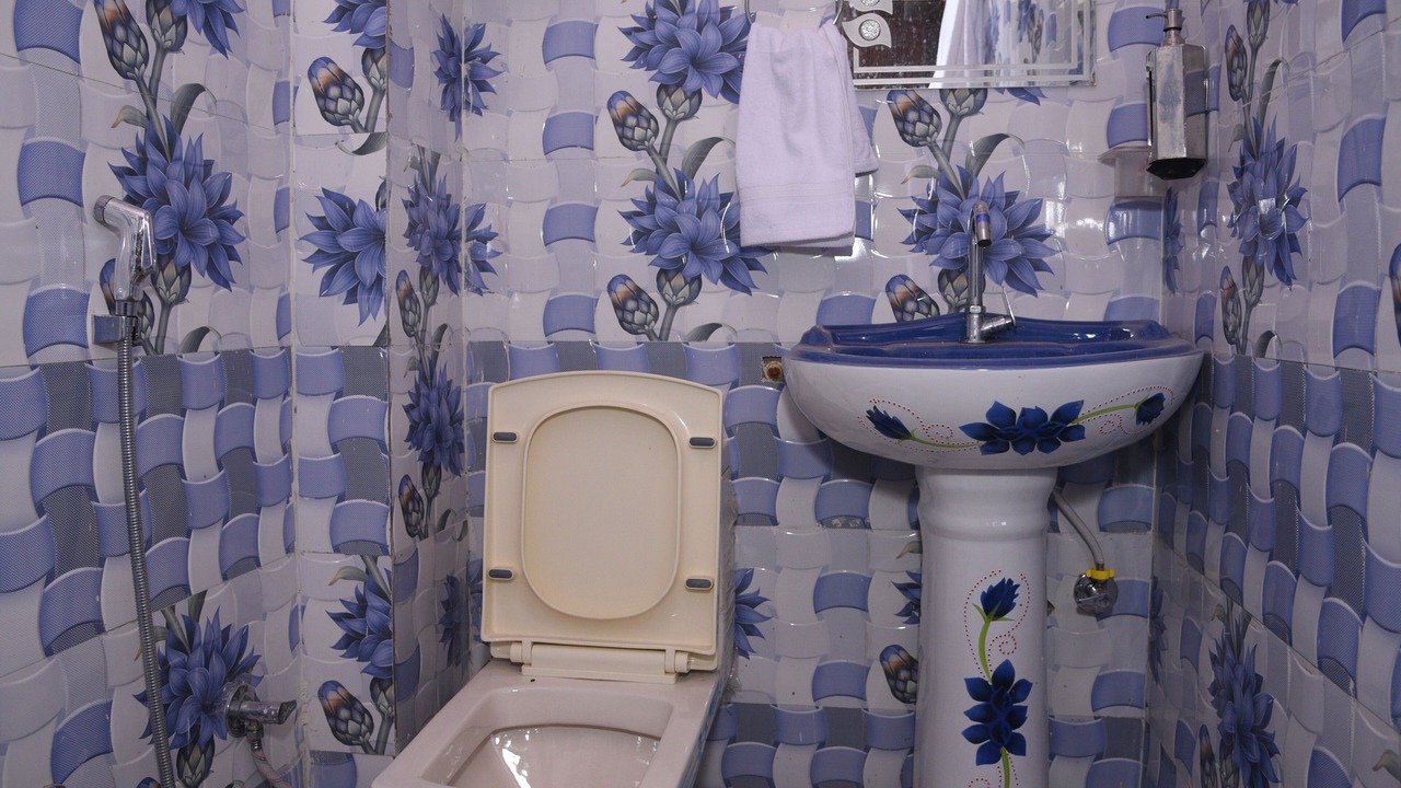 Photo of Bathroom in Amer Fort Road