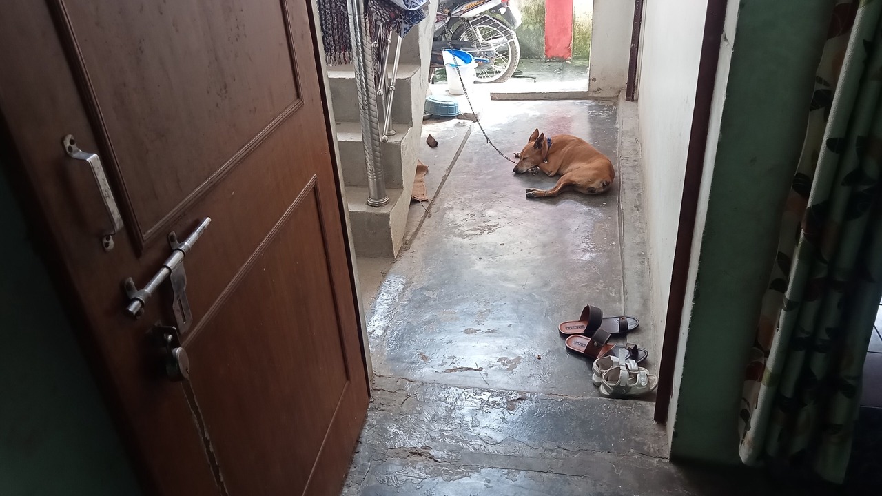 Photo of Others in Varanasi