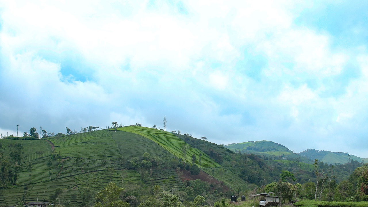 Photo of Others in Elappara