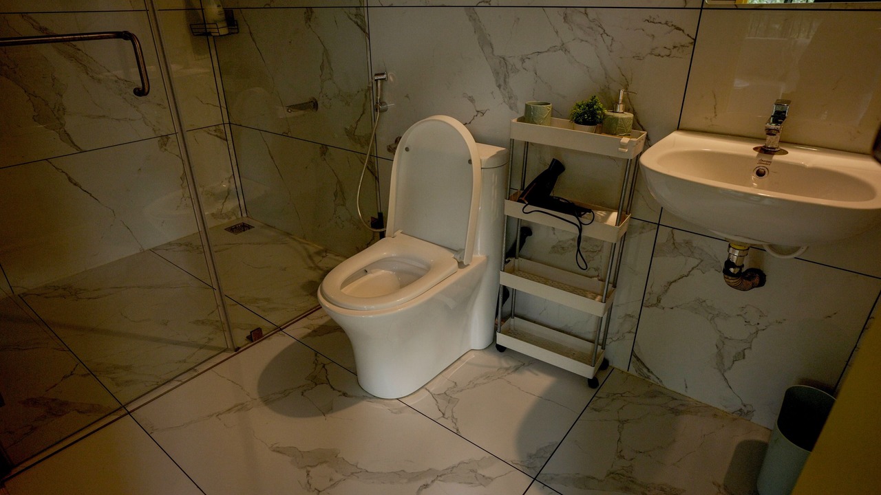 Photo of Bathroom in Elappara