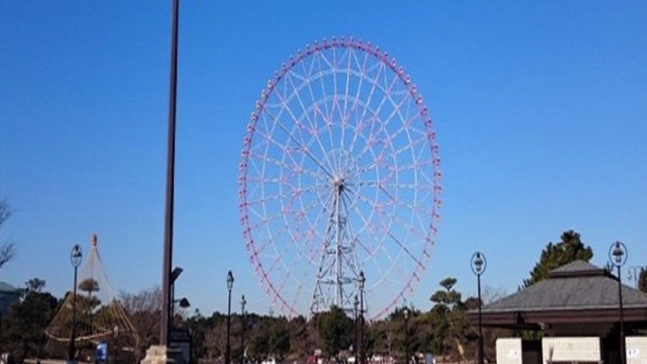 Photo of Others in Urayasu