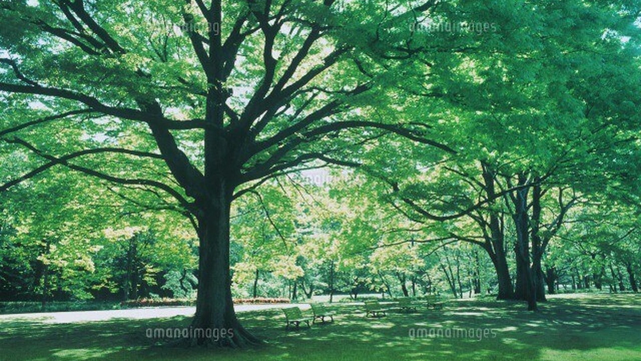 Photo of Outdoor in Shibuya