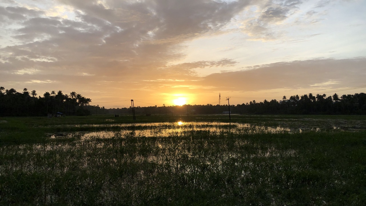 Photo of Others in Irinjalakuda