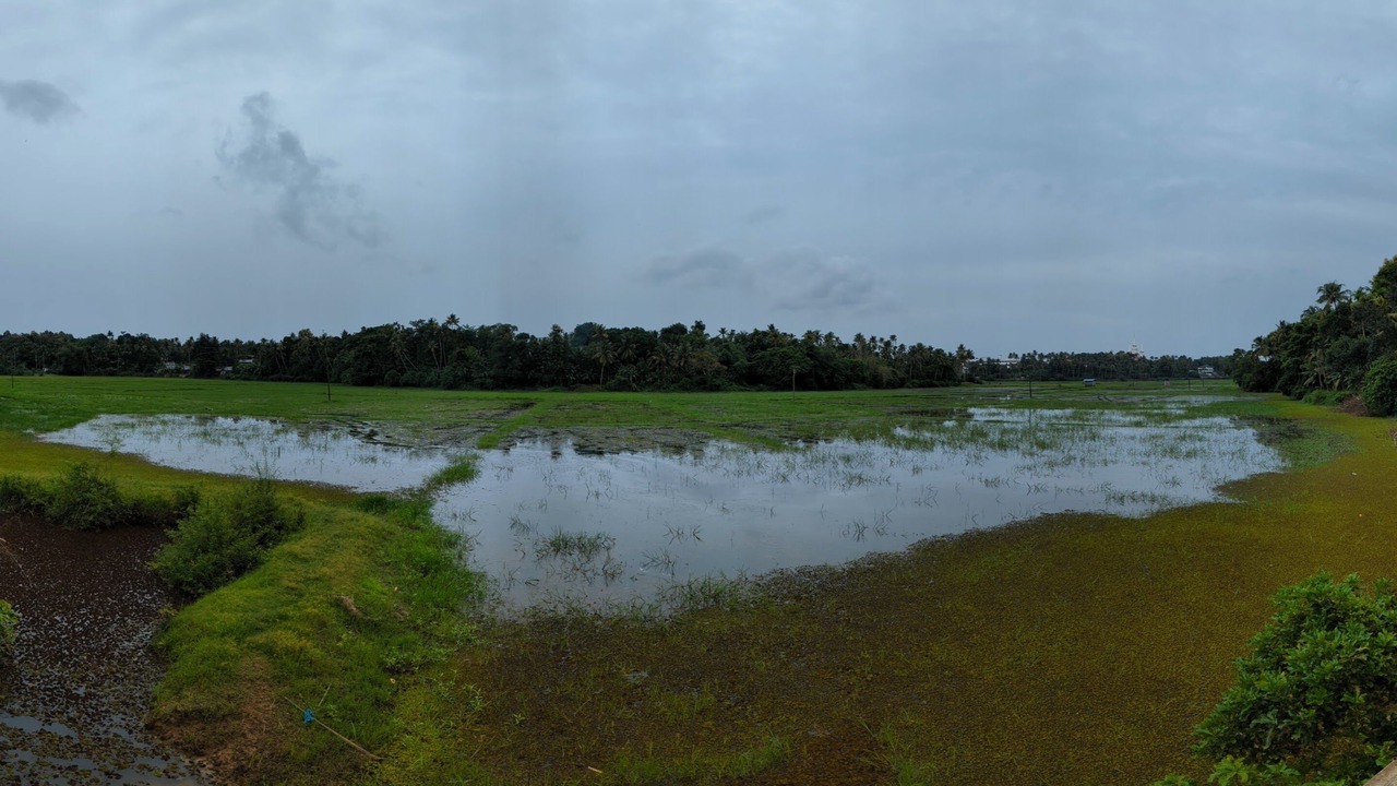 Photo of Others in Irinjalakuda