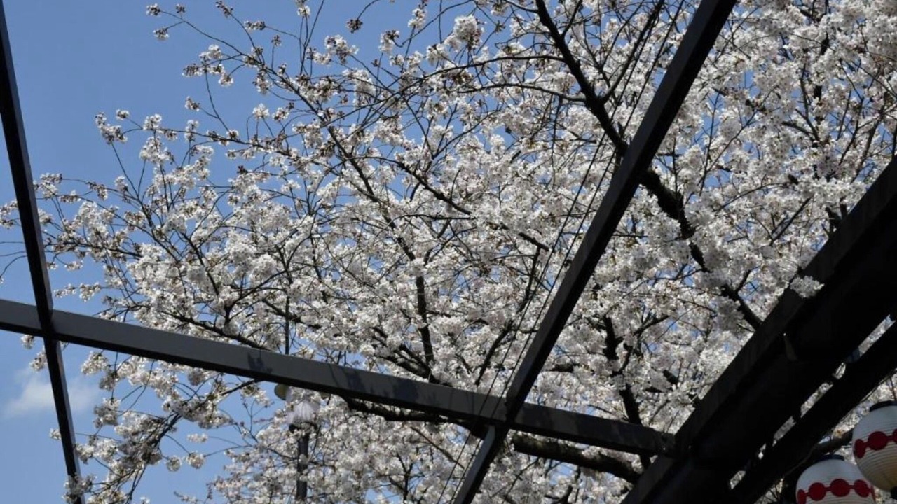 Photo of Outdoor in Kita Ward