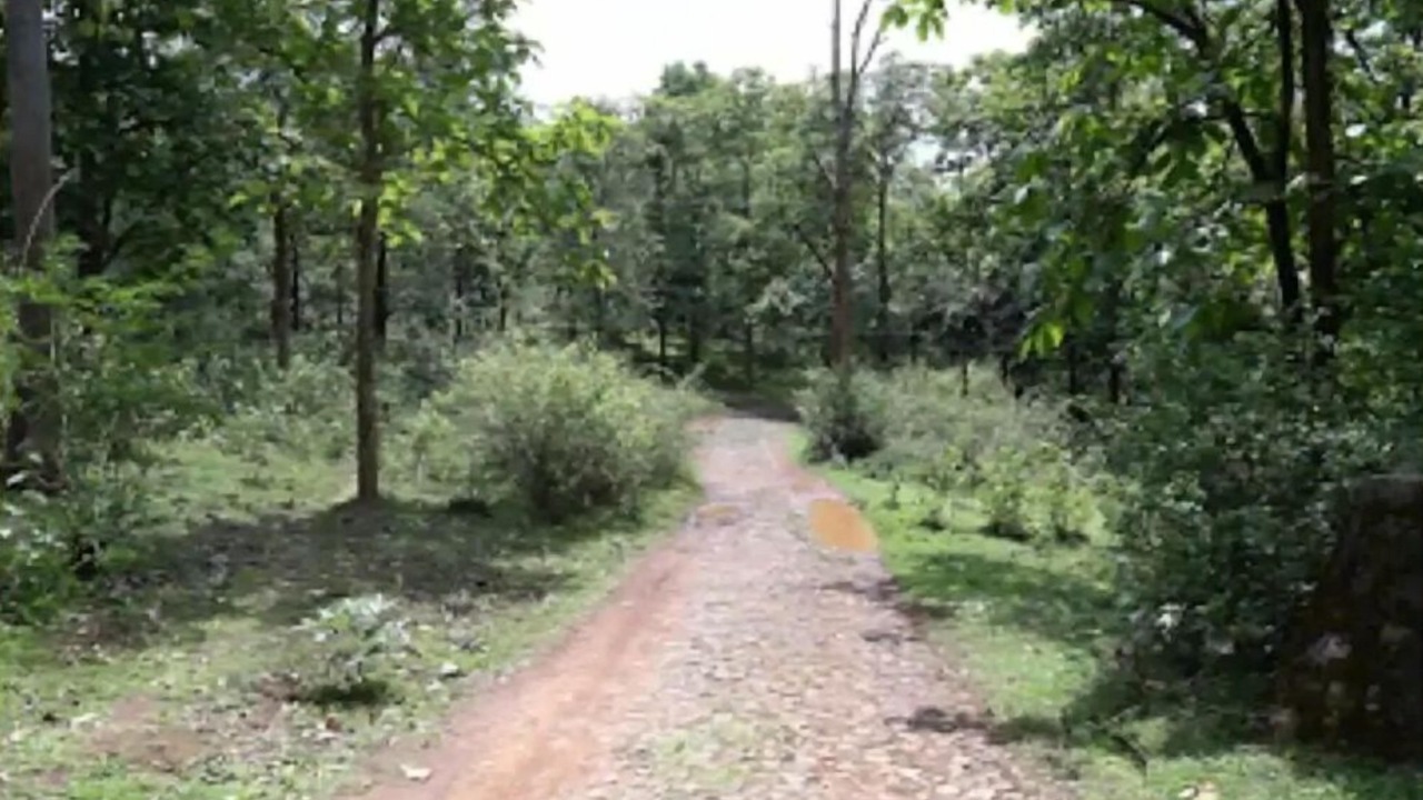 Photo of Outdoor in Thirunelly