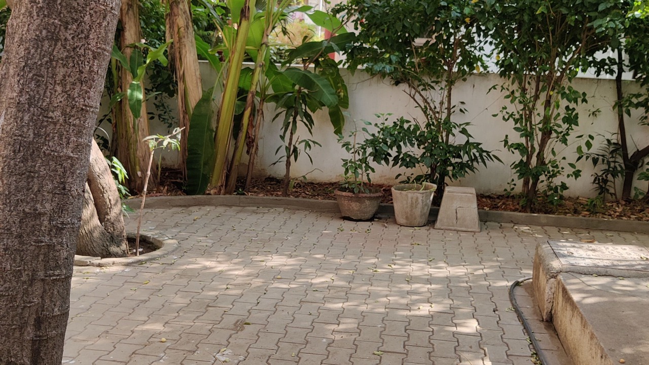 Photo of Outdoor in Egmore