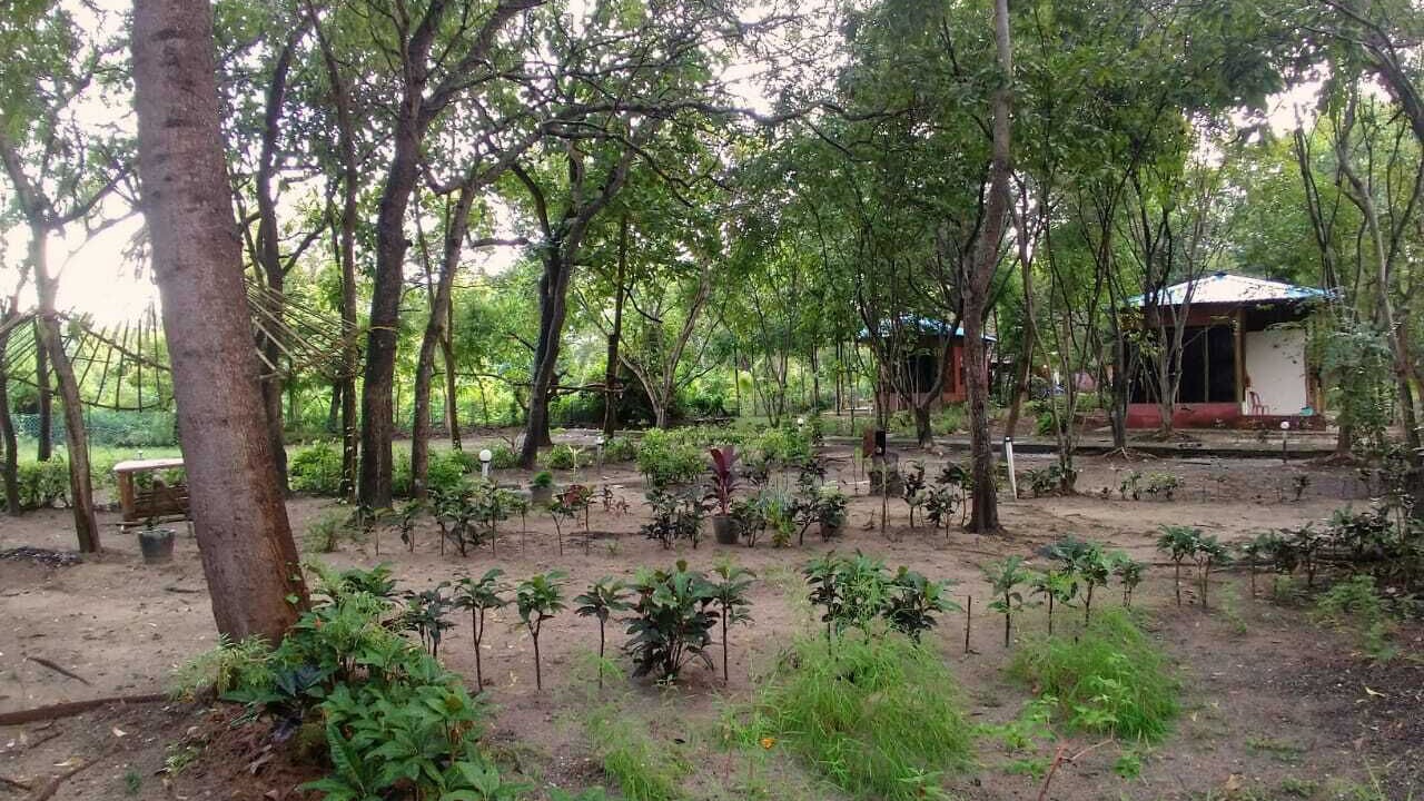 Photo of Outdoor in Neil Island