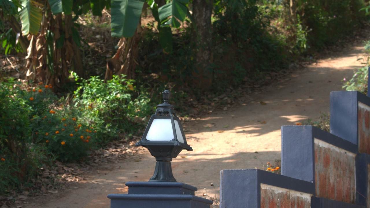 Photo of Outdoor in Mananthavady