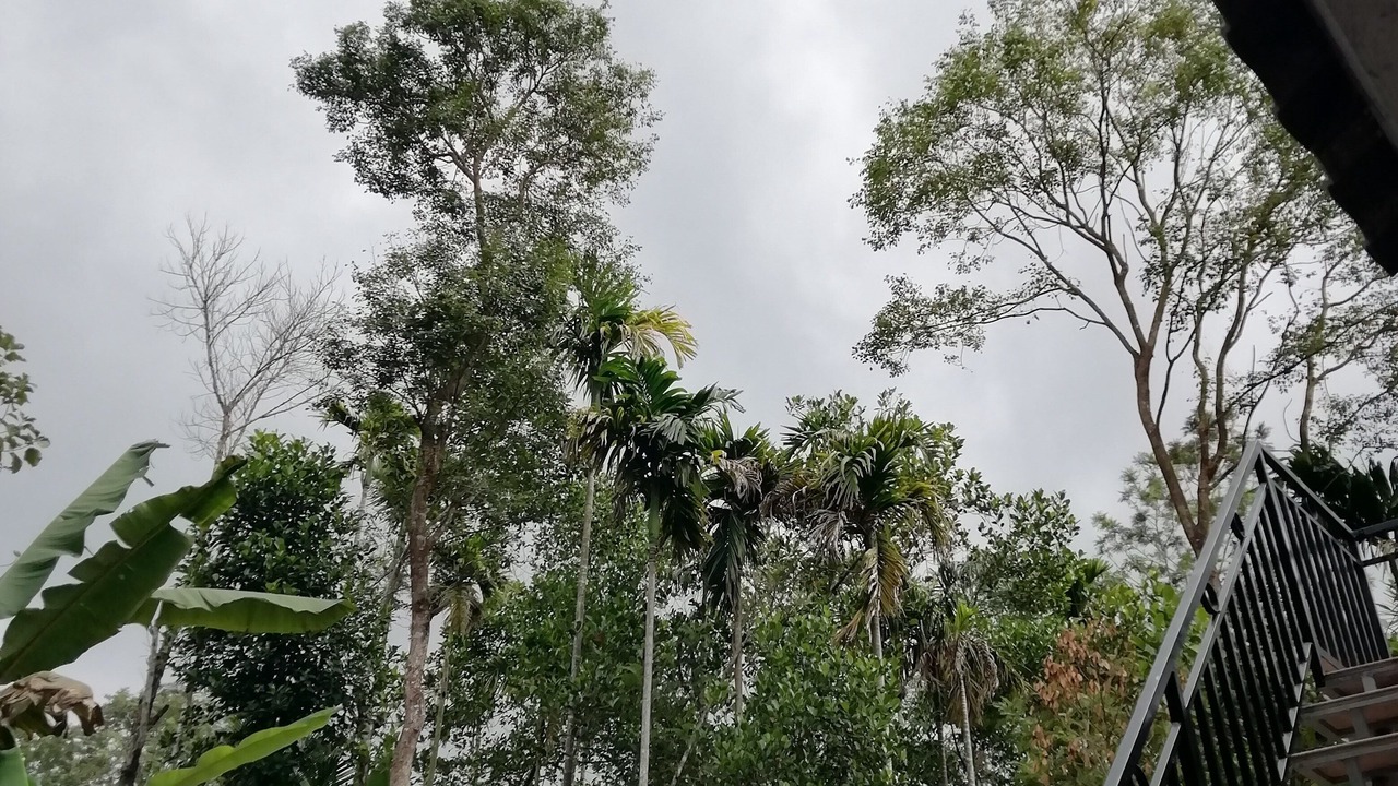 Photo of Outdoor in Mananthavady
